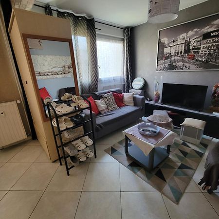 Pour Deplacement 3 Chambres Échirolles Eksteriør billede